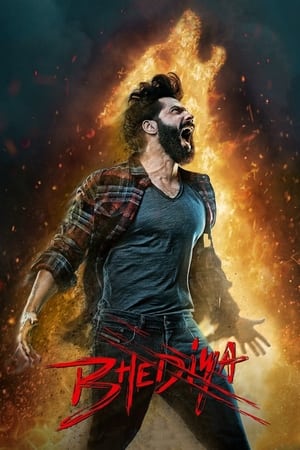 Bheed 2023 Hindi HDRip 720p – 480p