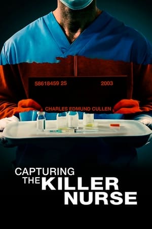 Lost Bullet 2 (2022) Hindi Dual Audio HDRip 720p – 480p