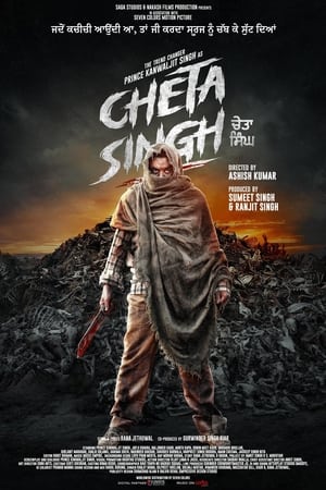 Mindo Taseeldarni 2019 Punjabi Audio WEB-DL 720p – 480p – 1080p