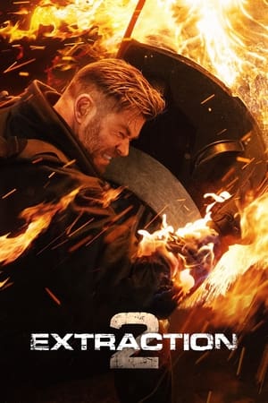 Extraction (2020) Hindi Dual Audio Web-DL 720p – 480p