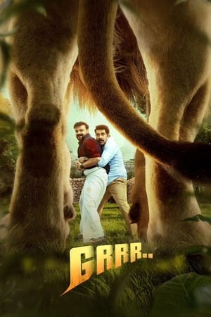 Ravam Sound of Soul 2026 Telugu Dual Audio WEB-DL 720p – 480p – 1080p