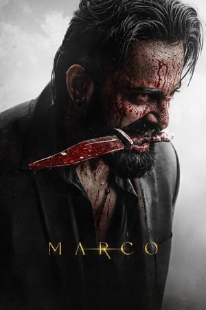 45 2025 Hindi Audio HDTC 720p – 480p – 1080p
