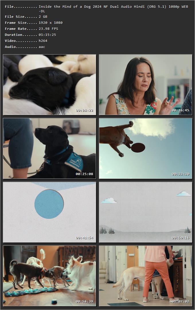 Inside the Mind of a Dog 2024 Hindi Dual Audio HDRip 1080p – 720p – 480p