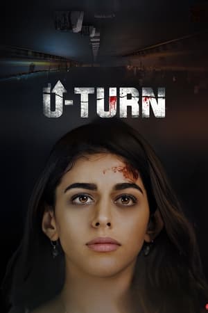 The Nurse Season 1 Hindi HDRip – 720p – 480p (Complete)